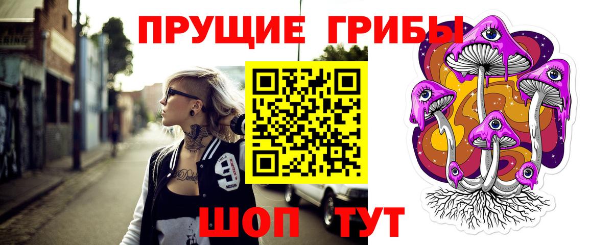 Благодарный  Псилоцибиновые грибы ЛСД  Галлюциногенные грибы ЛСД  Вход с VPN 